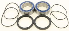 All Balls Rear Wheel Bearing Kit