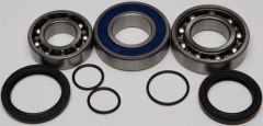 All Balls Chain Case Bearing & Seal Kit