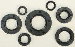 Vertex Oil Seal Set