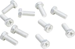 Fire Power Bolts 6mm X 16mm 10/pk  Alpine White