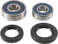 All Balls Wheel Bearing/seal Kit