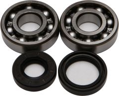 All Balls Crankshaft Bearing/seal Kit