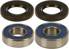 All Balls Rear Wheel Bearing/seal Kit