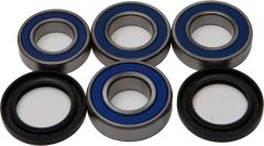 All Balls Rear Wheel Bearing Kit