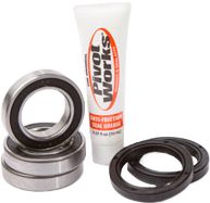 Pivot Works Rear Wheel Bearing Kit