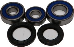 All Balls Rear Wheel Bearing/seal Kit