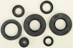 Vertex Oil Seal Set