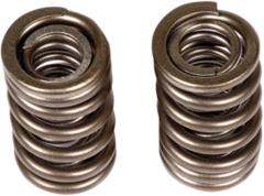 Bbr Hd Valve Springs