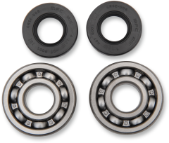 Hot Rods Crank Bearings And Seals Kit