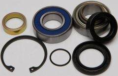 All Balls Chain Case Bearing & Seal Kit