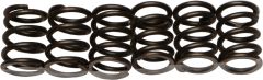 Ebc Redline Clutch Springs