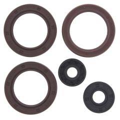 Vertex Oil Seal Set