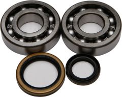 All Balls Crankshaft Bearing/seal Kit