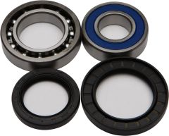 All Balls Wheel Bearing & Seal Kit