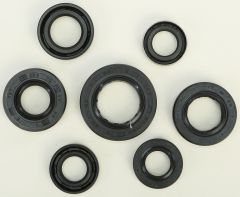 Vertex Oil Seal Set