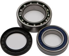 All Balls Wheel Bearing & Seal Kit