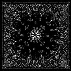 Zan Bandanna Black Paisley