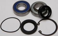 All Balls Chain Case Bearing & Seal Kit