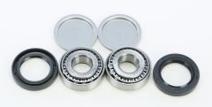 All Balls Swingarm Bearing Kit