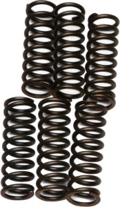 Ebc Clutch Springs