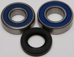 All Balls Chain Case Bearing & Seal Kit