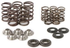 Hot Cams Raptor Spring Kit/ Ti Retainers