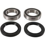 Pivot Works Rear Wheel Bearing Kit