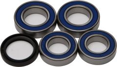 All Balls Wheel Bearing & Seal Kit