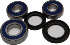 All Balls Wheel Bearing & Seal Kit