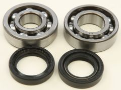 All Balls Crankshaft Bearing/seal Kit