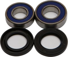 All Balls Wheel Bearing & Seal Kit