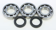 All Balls Crankshaft Bearing/seal Kit