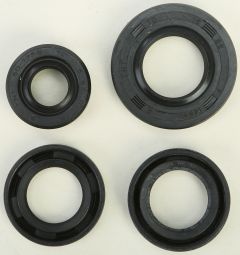 Vertex Oil Seal Set