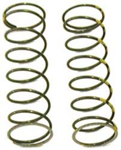 Exhaust Valve Springs For Polaris