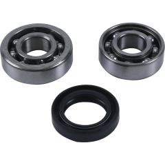 Hot Rods Counter Balancer Bearing Kit