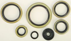 Vertex Oil Seal Set