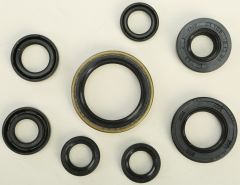 Vertex Oil Seal Set