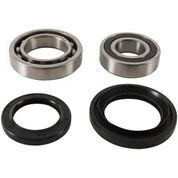 Pivot Works Rear Wheel Bearing Kit