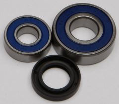 All Balls Wheel Bearing & Seal Kit