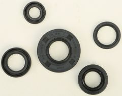 Vertex Oil Seal Set