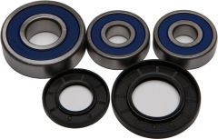 All Balls Rear Wheel Bearing/seal Kit