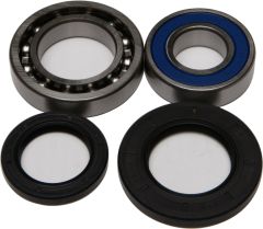 All Balls Wheel Bearing & Seal Kit