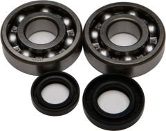 All Balls Crankshaft Bearing/seal Kit  Black/1/4" ID