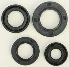 Vertex Oil Seal Set