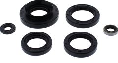 Vertex Oil Seal Set