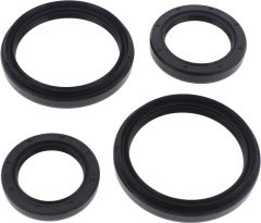 All Balls Rear Differential Seal Kit