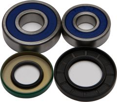 All Balls Wheel Bearing & Seal Kit