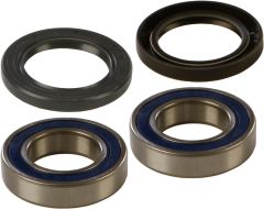 All Balls Wheel Bearing & Seal Kit