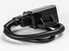 Ricks Ignition Coil