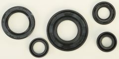 Vertex Oil Seal Set